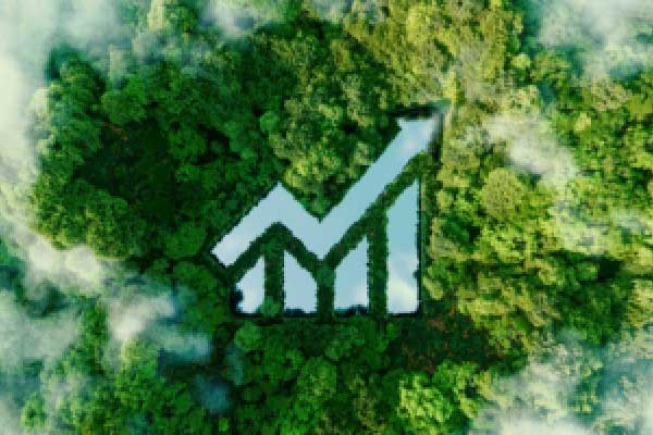 视频 | 五星酒店摆摊自救？活下去才是硬道理！